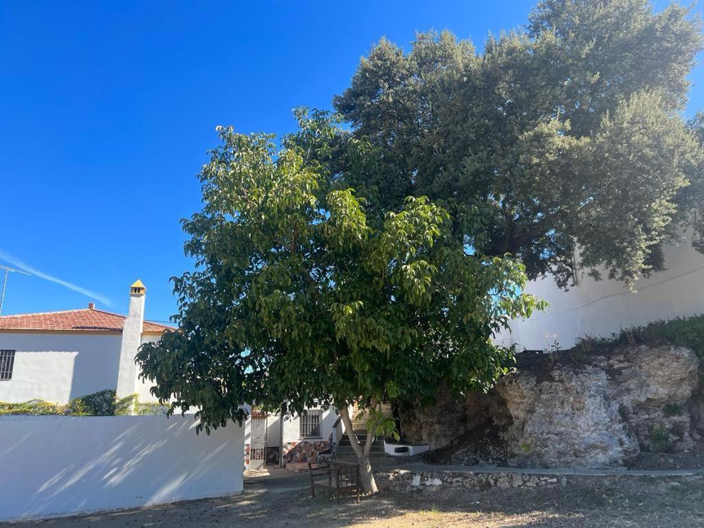 Alojamiento Rural Huerta Mandre Cuevas del Becerro Exterior photo